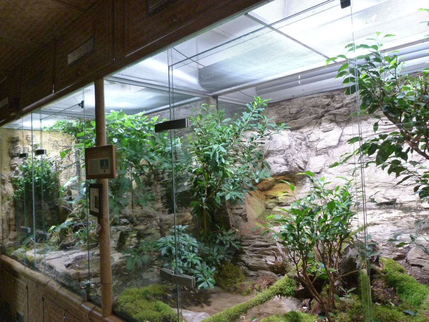 Venomous snake exhibits -Zoo Plzeň (2025)