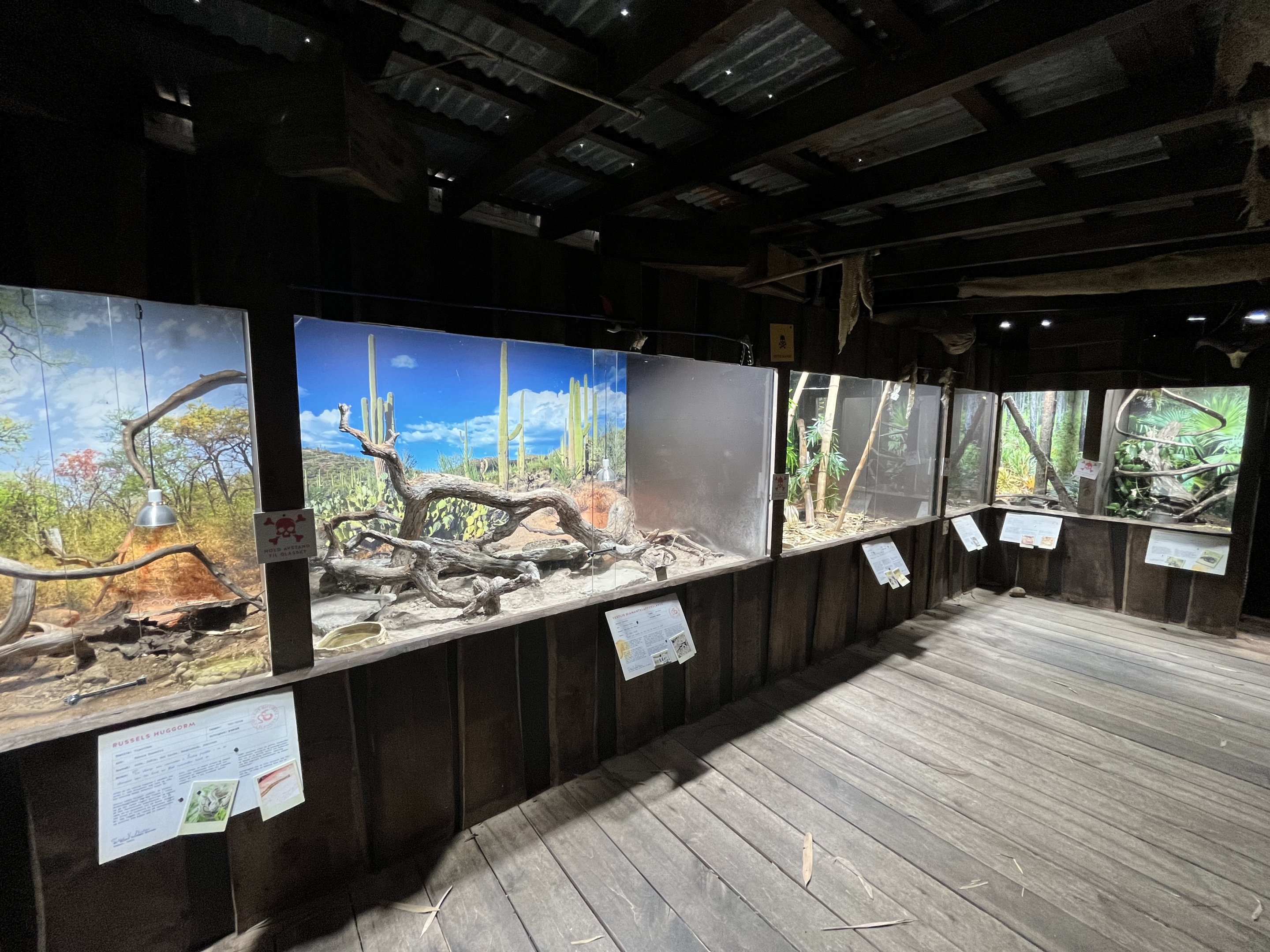 Venomous Snake House