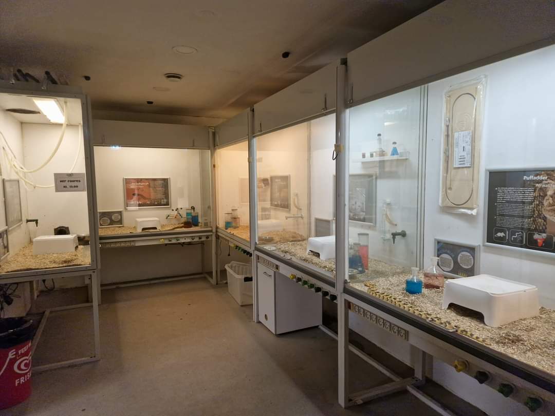 Venomous Snake Laboratory