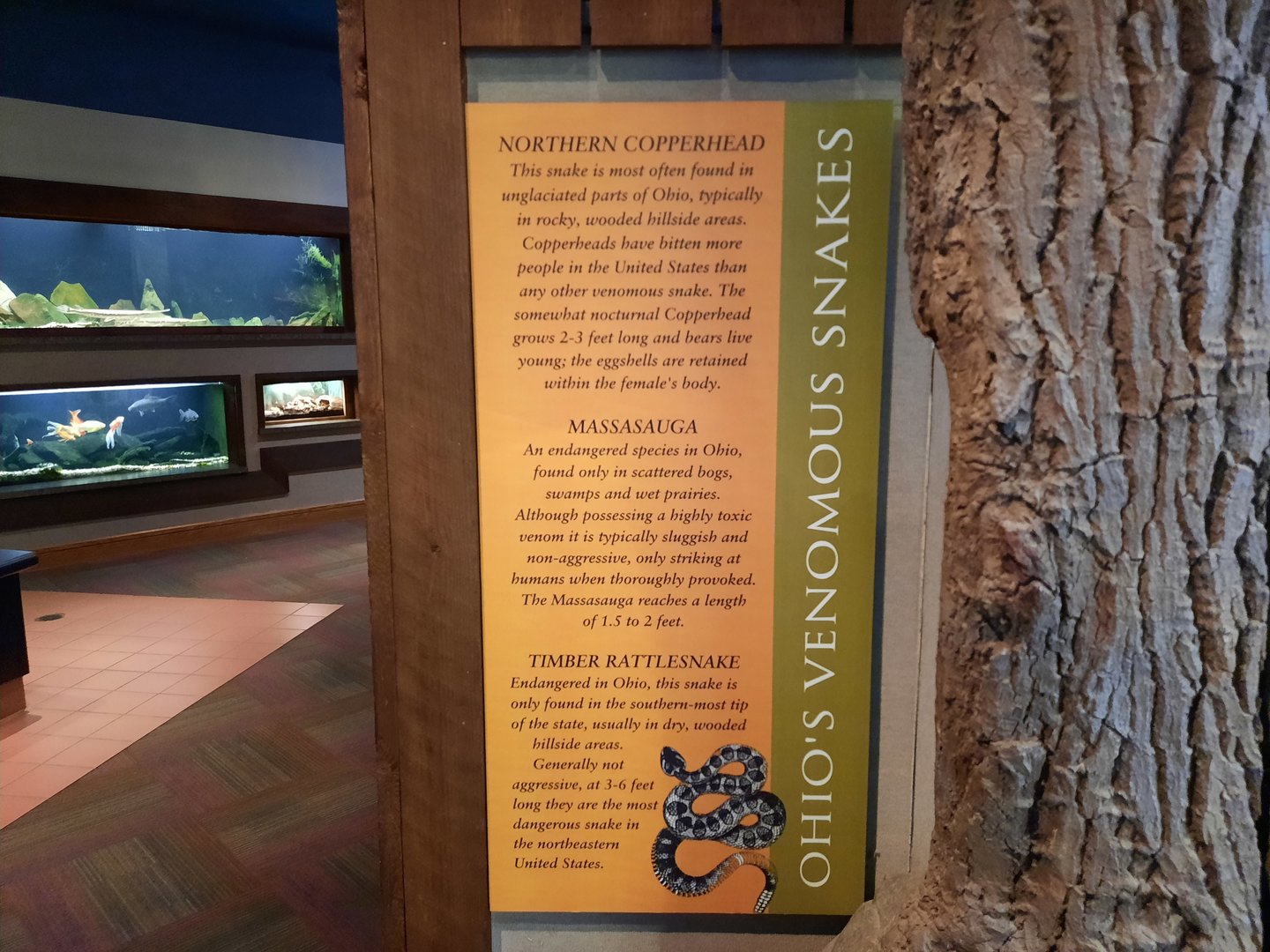 Venomous Snake Sign