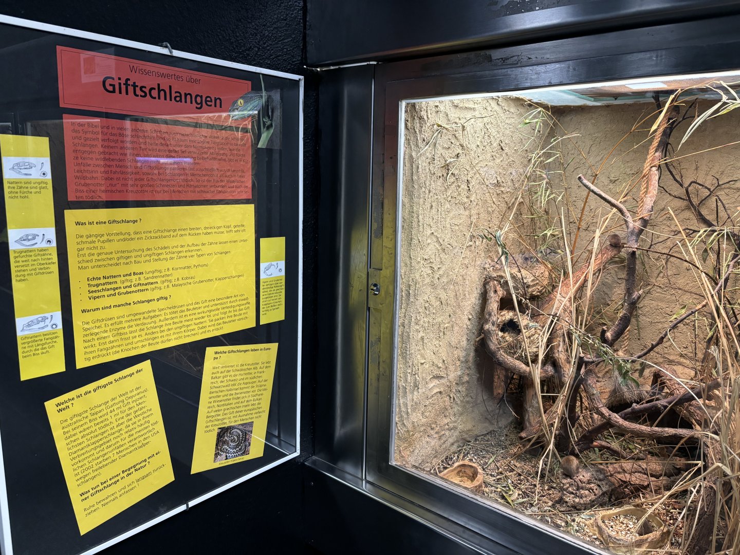 Venomous snake signs and harvest mice enclosure