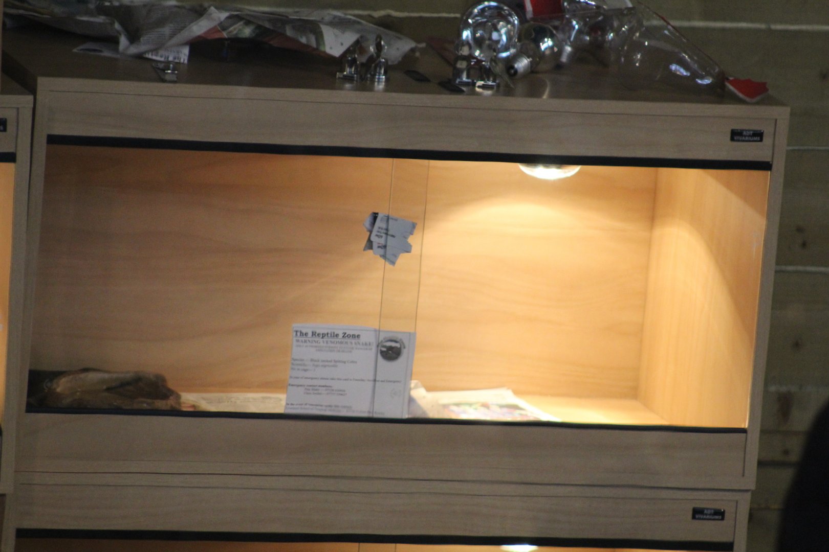 Venomous Snake Terrarium