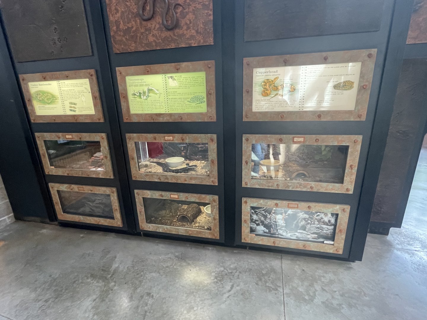 Venomous Snake Terrariums