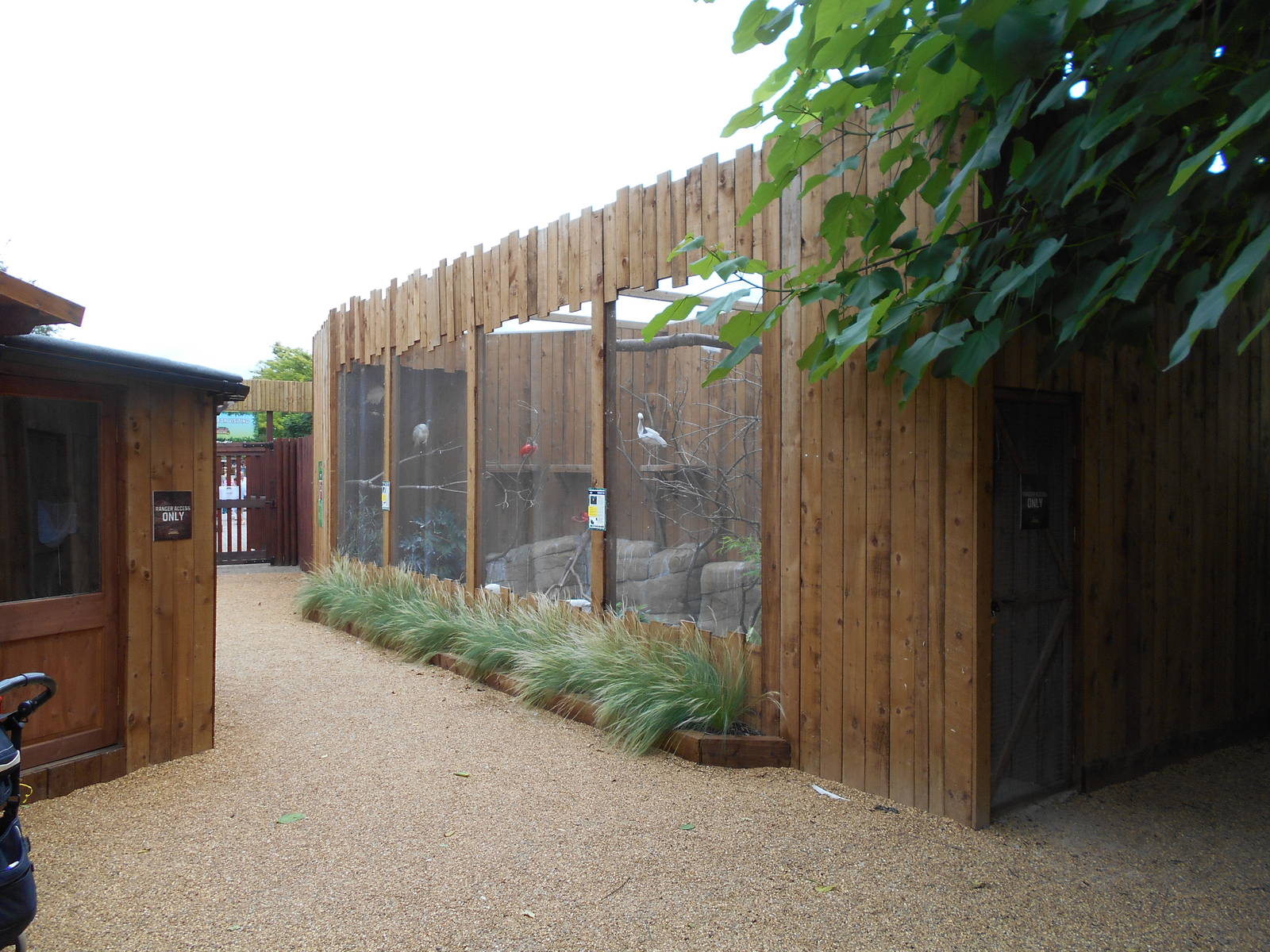 Ventura Wildlife Garden - 28/08/2016