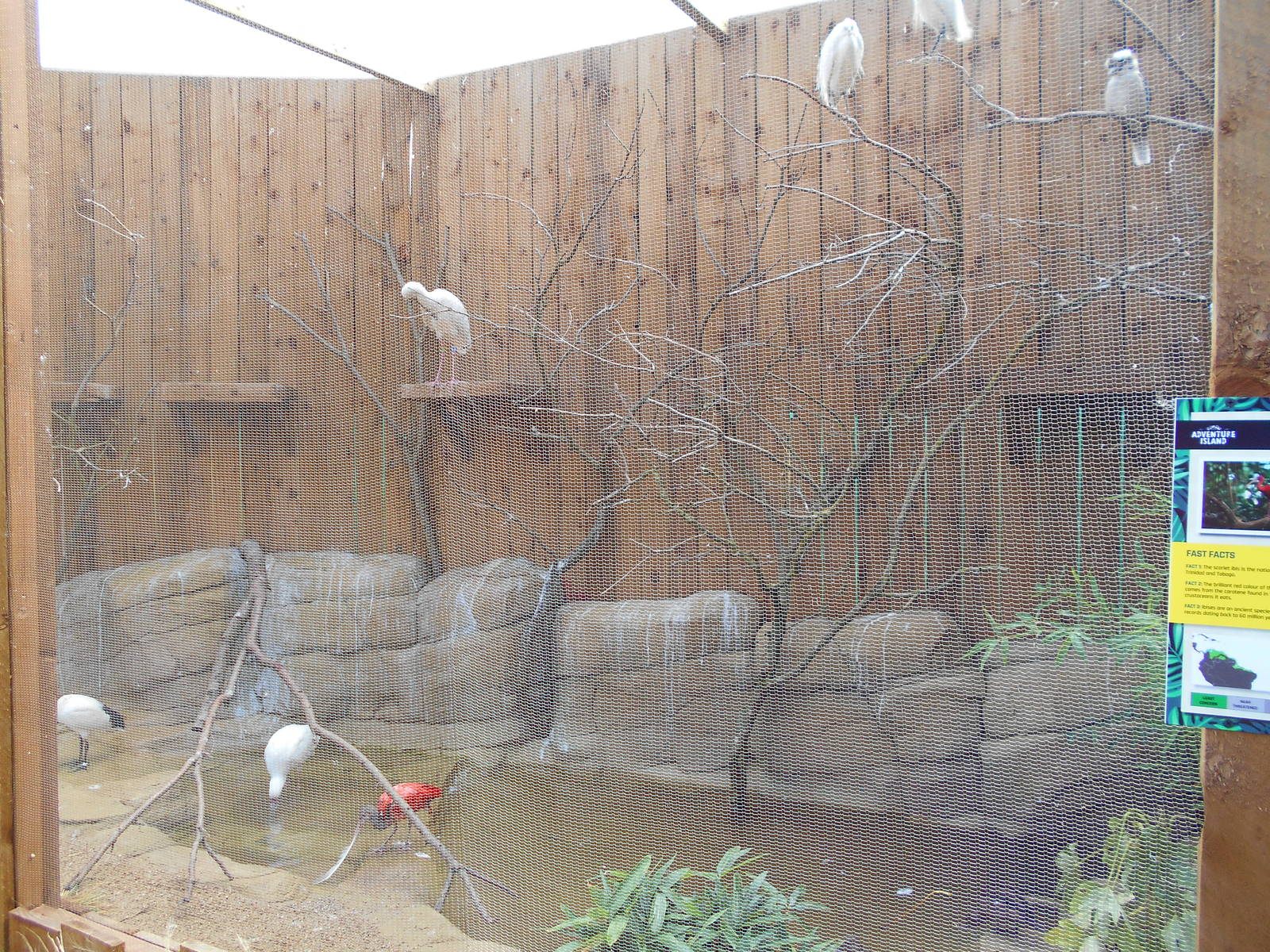 Ventura Wildlife Garden - 28/08/2016