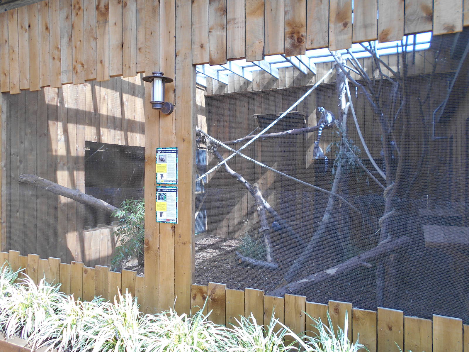 Ventura Wildlife Garden - 28/08/2016