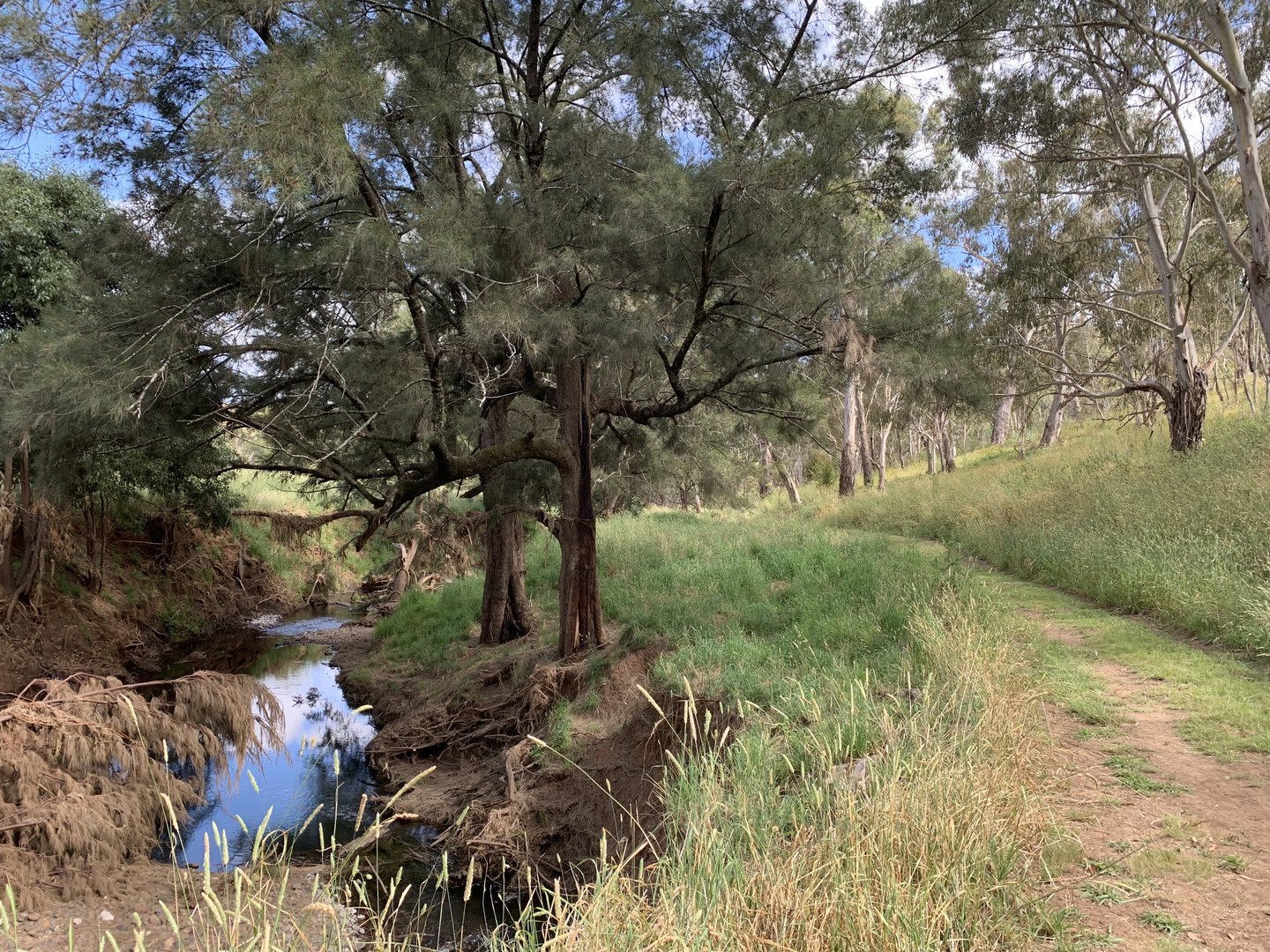 Verandah Cave Walking Track