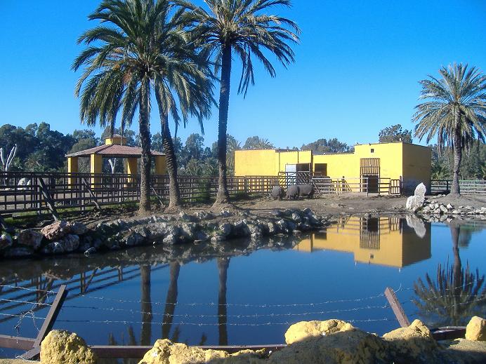 Vergel Safari Park hippo pond