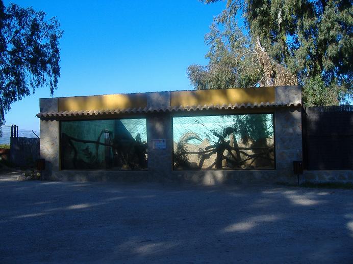 Vergel Safari Park mandrill cage