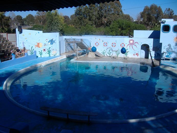 Vergel Safari Park sealion dolphin pool