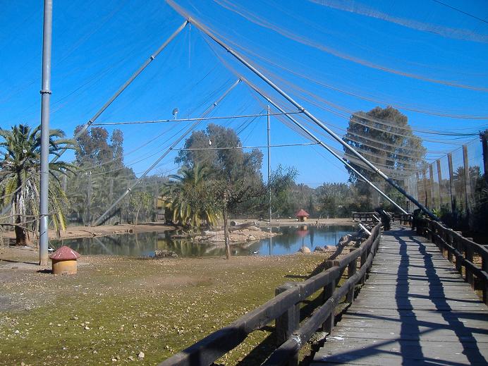 Vergel Safari Park walk through aviary