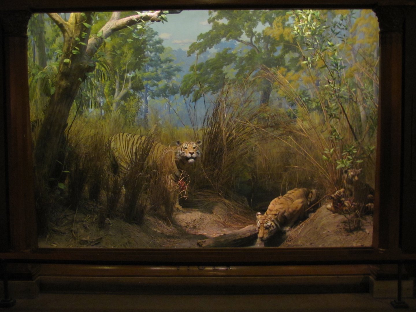 Vernay-Faunthorpe Hall of Asian Mammals Bengal Tiger Diorama