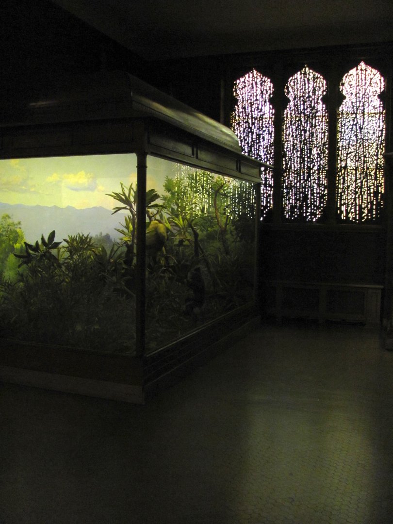 Vernay-Faunthorpe Hall of Asian Mammals Hoolock Gibbon Diorama