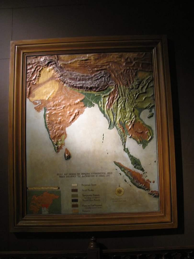 Vernay-Faunthorpe Hall of Asian Mammals Map of India