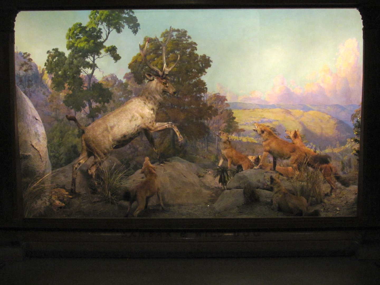 Vernay-Faunthorpe Hall of Asian Mammals Sambar & Wild Dog Diorama