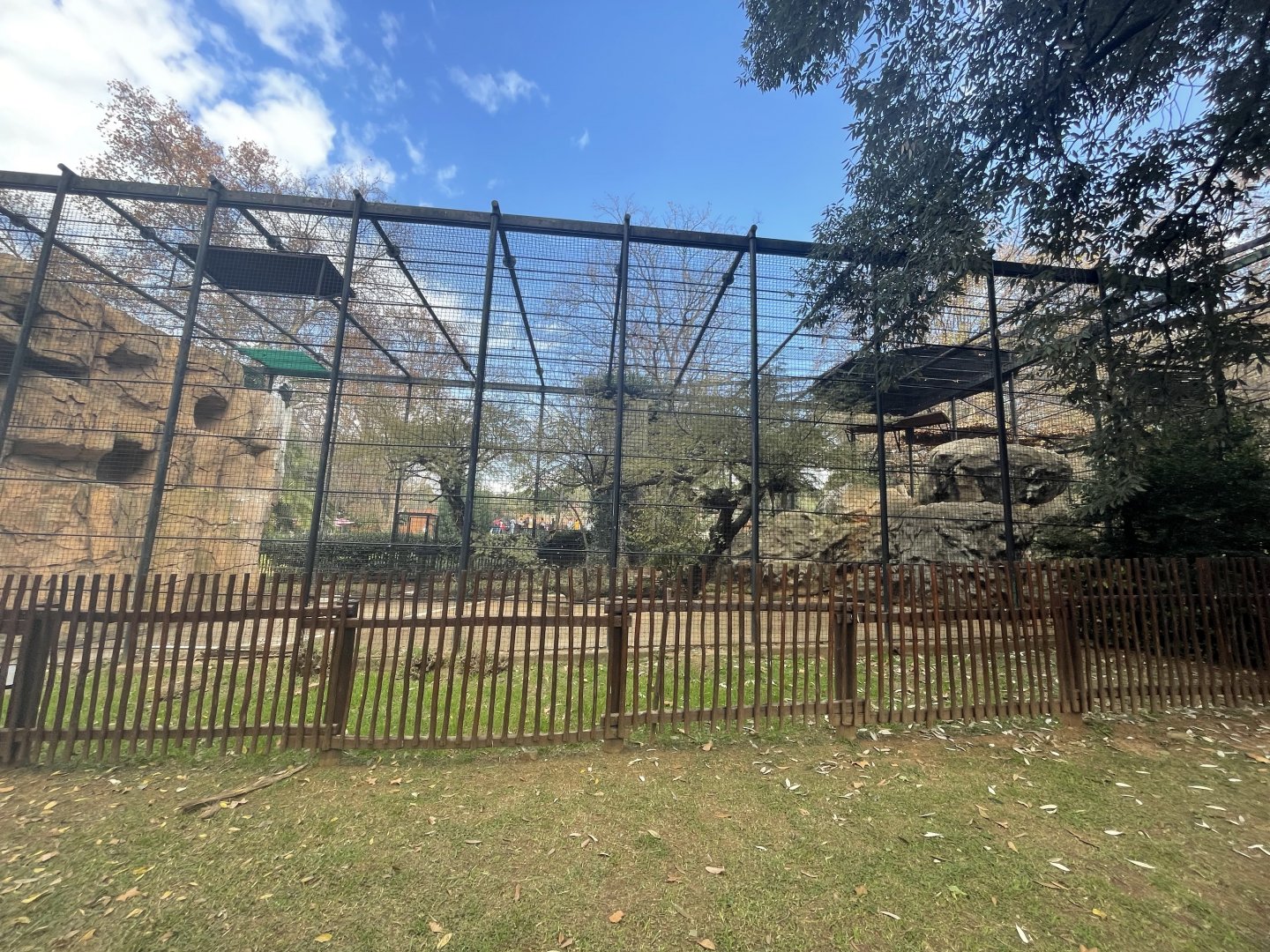 Verreaux Eagle Enclosure (Aquila verreauxii)