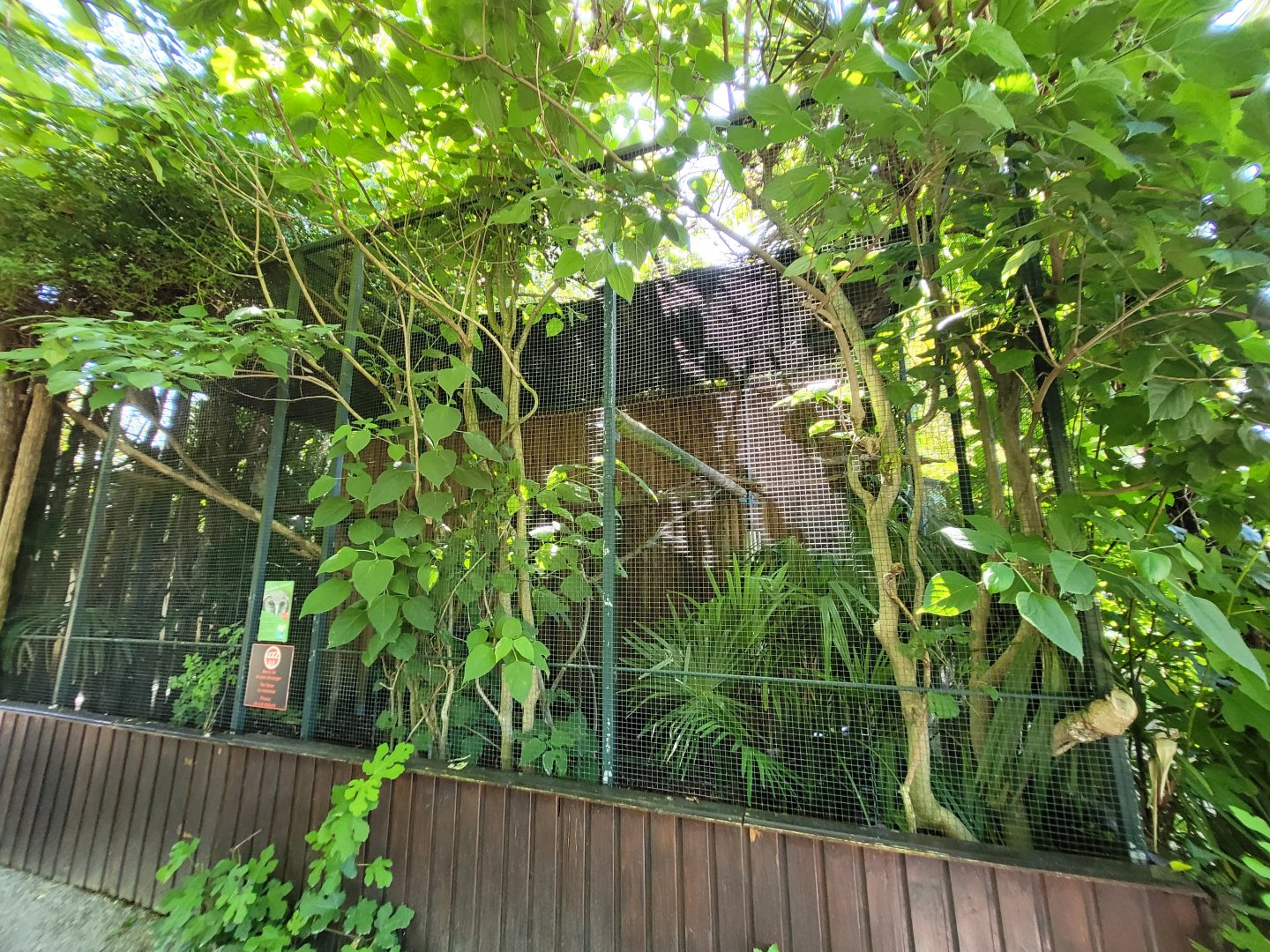 Verreaux eagle-owl exhibit -Zoo d'Asson (2022)