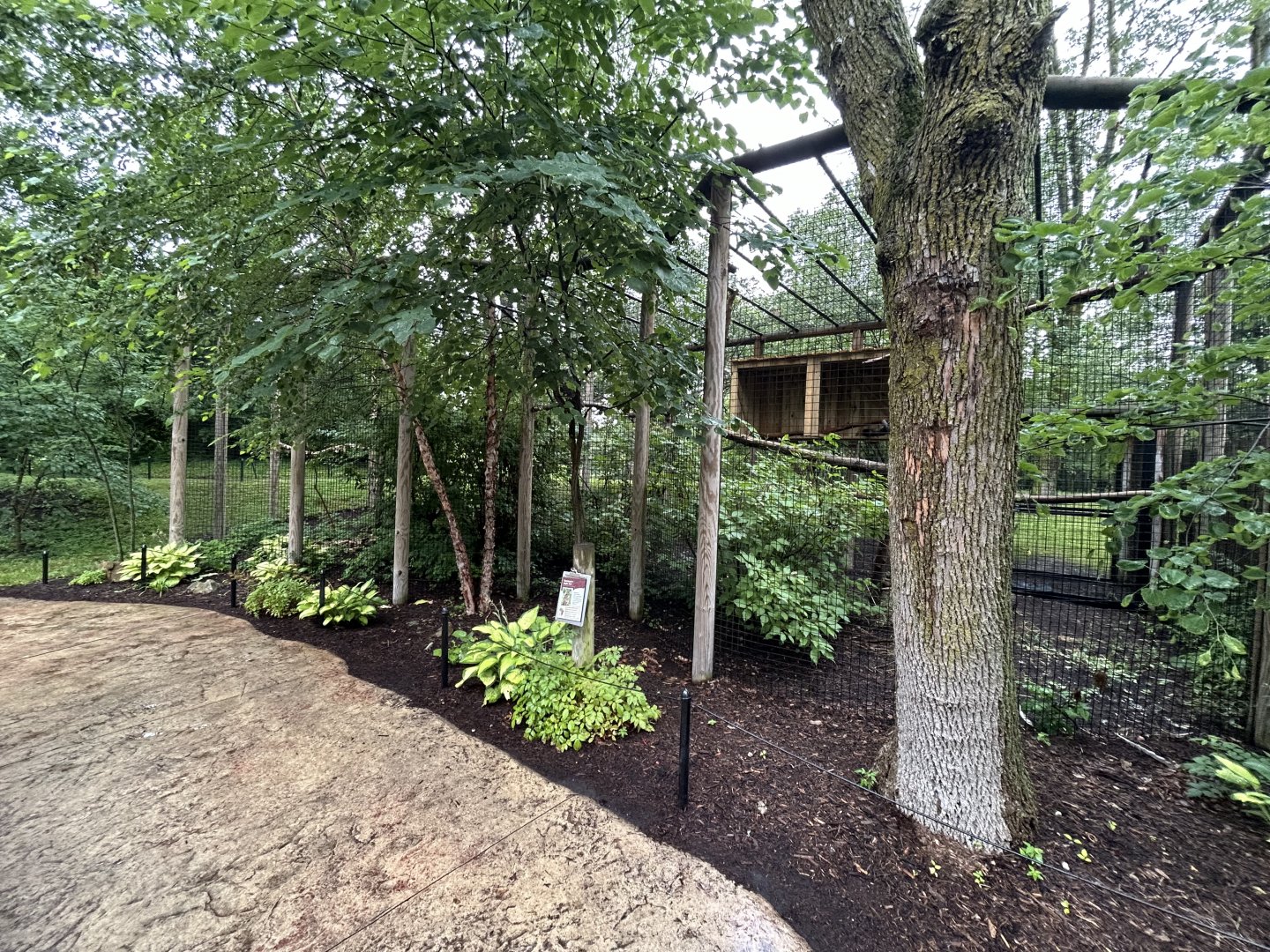 Verreaux’s Eagle Owl Aviary - African Journey