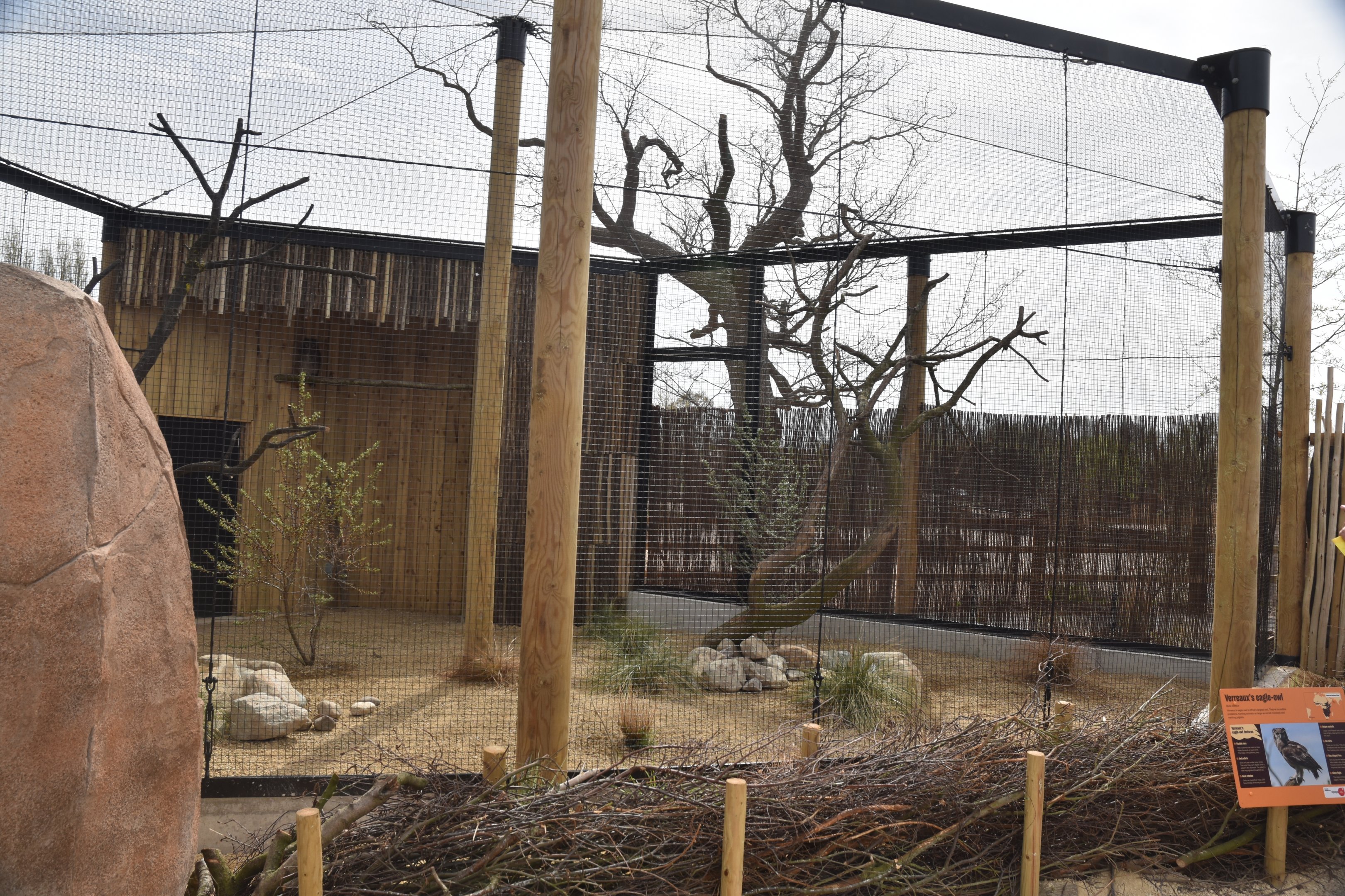 Verreaux's Eagle Owl Aviary, Heart of Africa at Chester, 12th April 2025