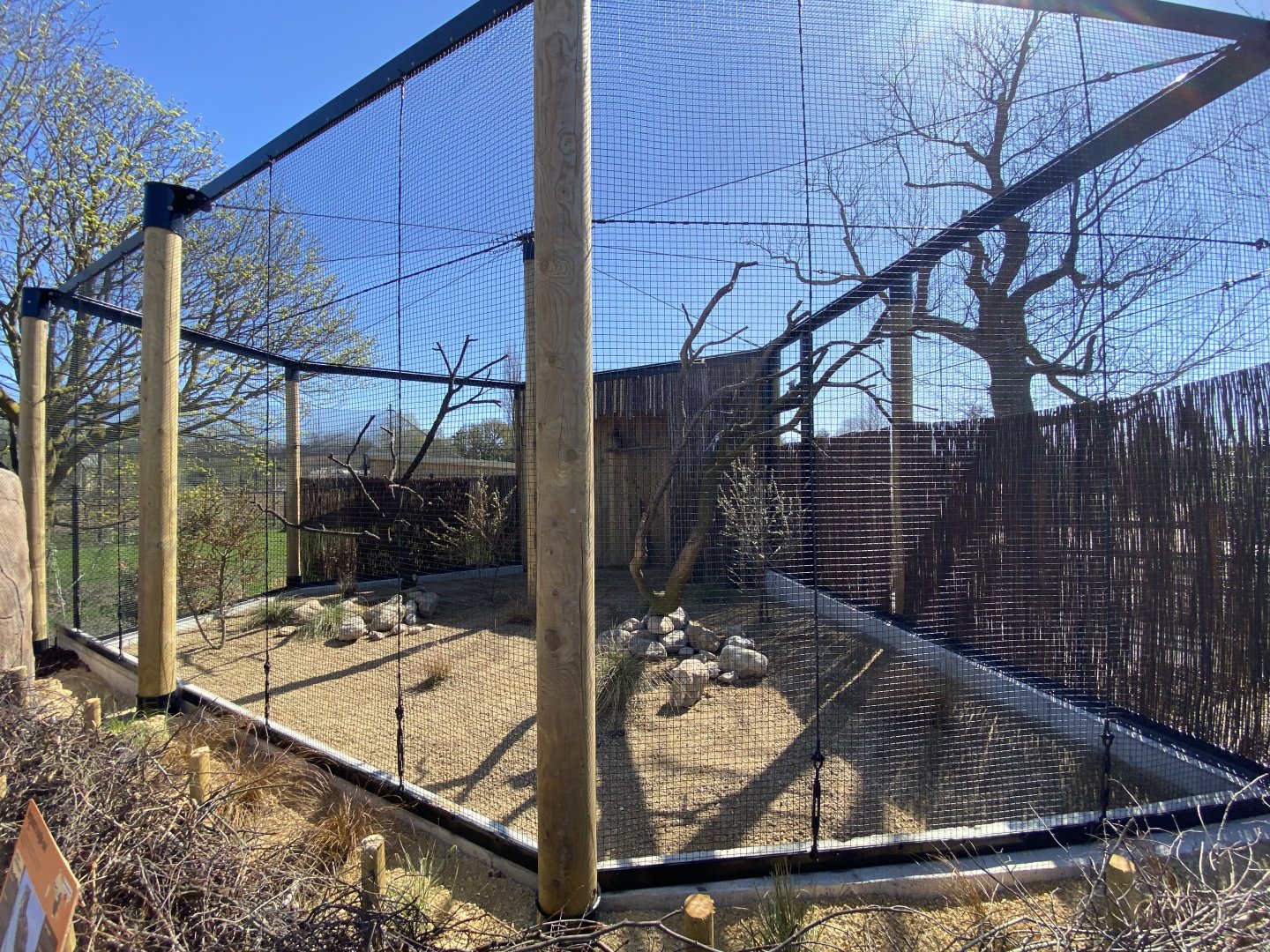 Verreaux’s eagle-owl aviary