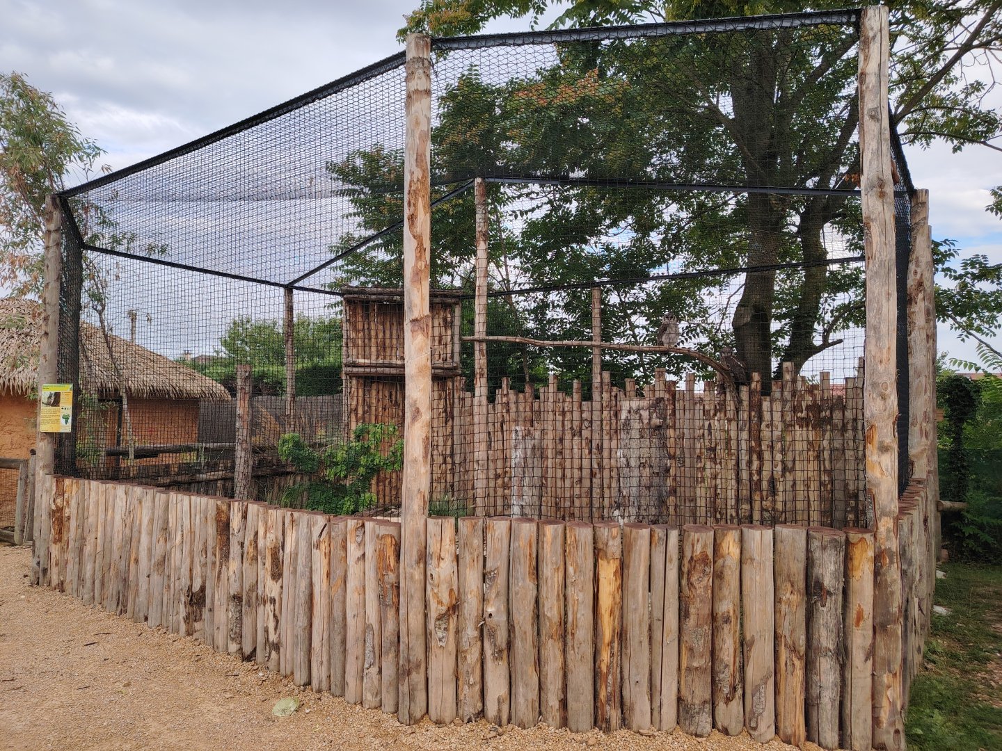 Verreaux's Eagle Owl Aviary