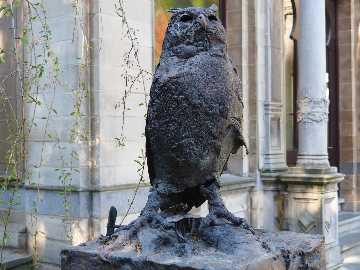 Verreaux's eagle owl statue, 2019-04-20