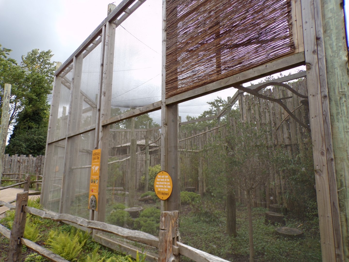 Verreux’s eagle owl aviary 7.7.24