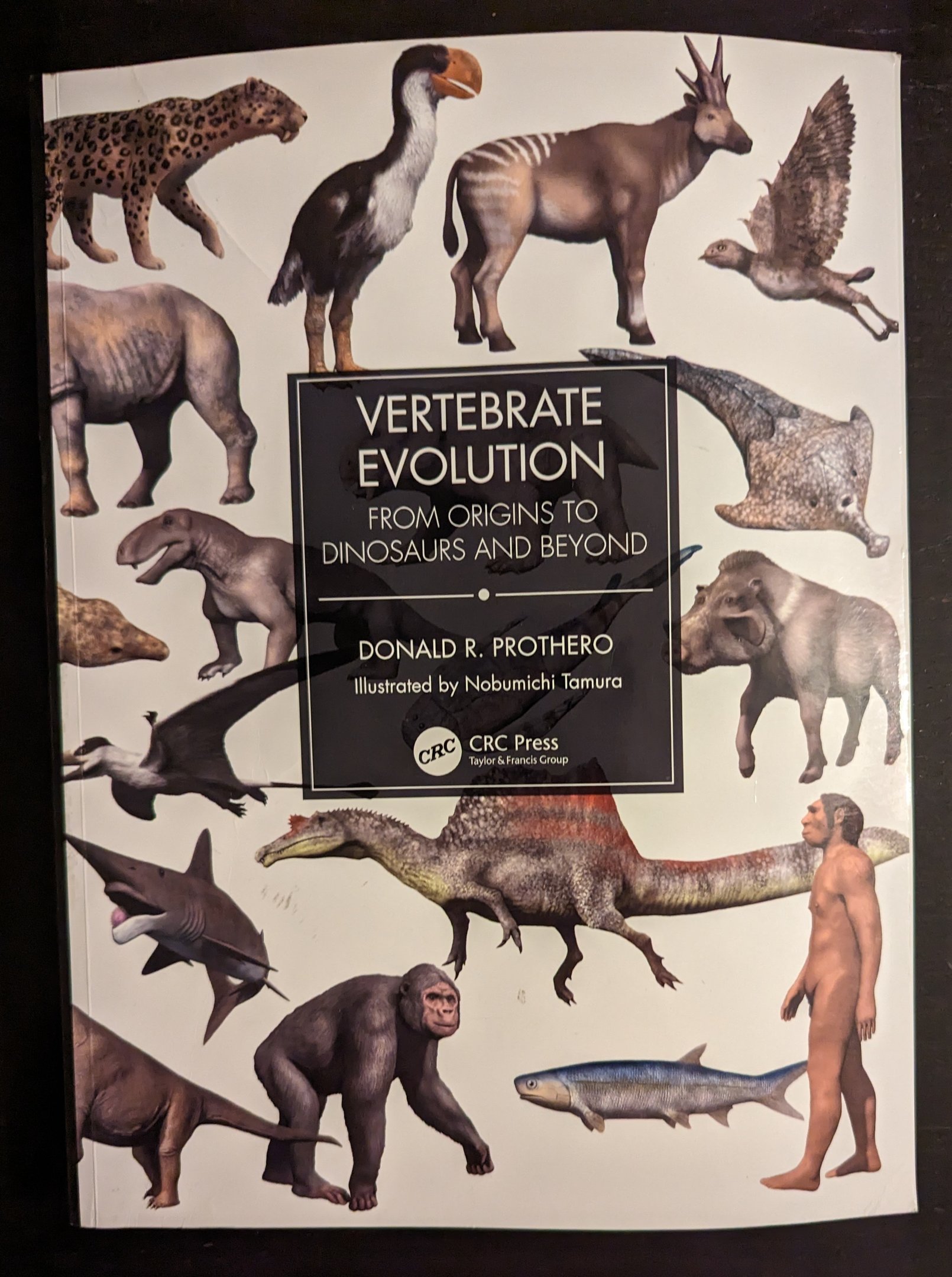 Vertebrate Evolution: From Origins to Dinosaurs and Beyond
