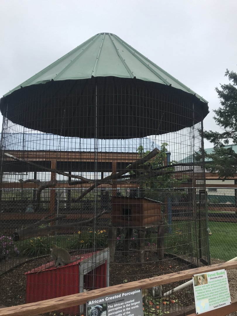 Vervet/African Crested Porcupine Exhibit