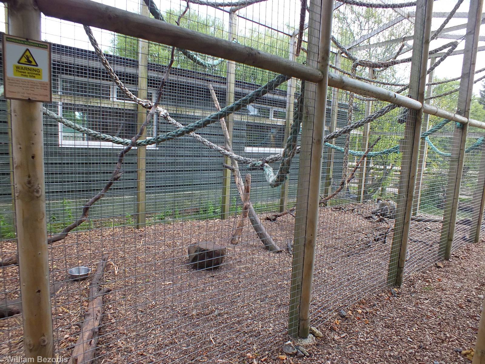 Vervet Enclosure