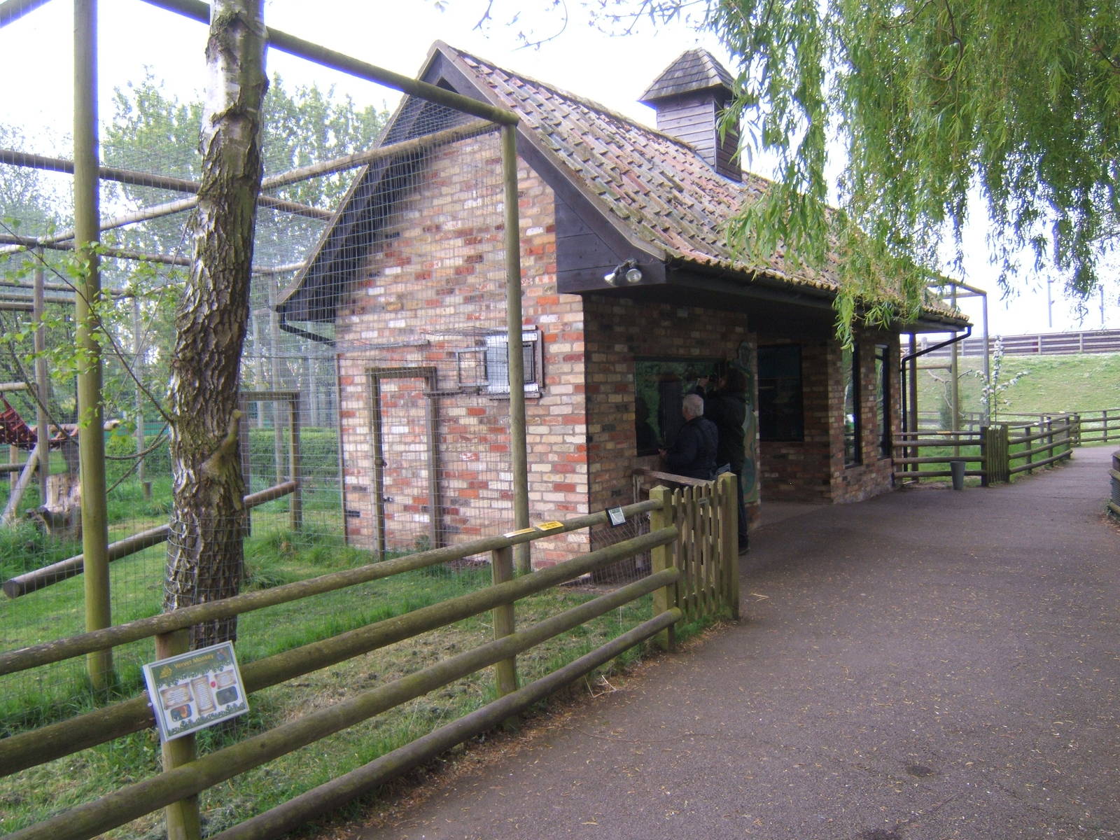 Vervet Monkey/Crab-eating Macaque House