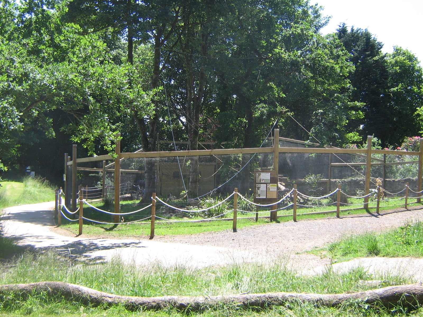 Vervet Monkey Enclosure June 2010