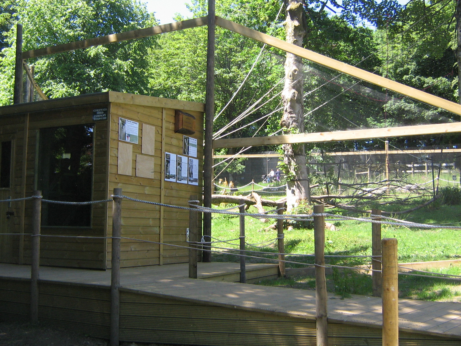 Vervet Monkey Enclosure June 2010