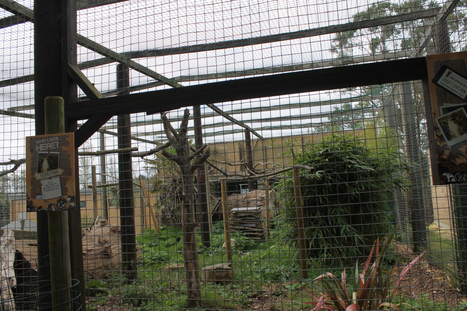 Vervet Monkey Enclosure