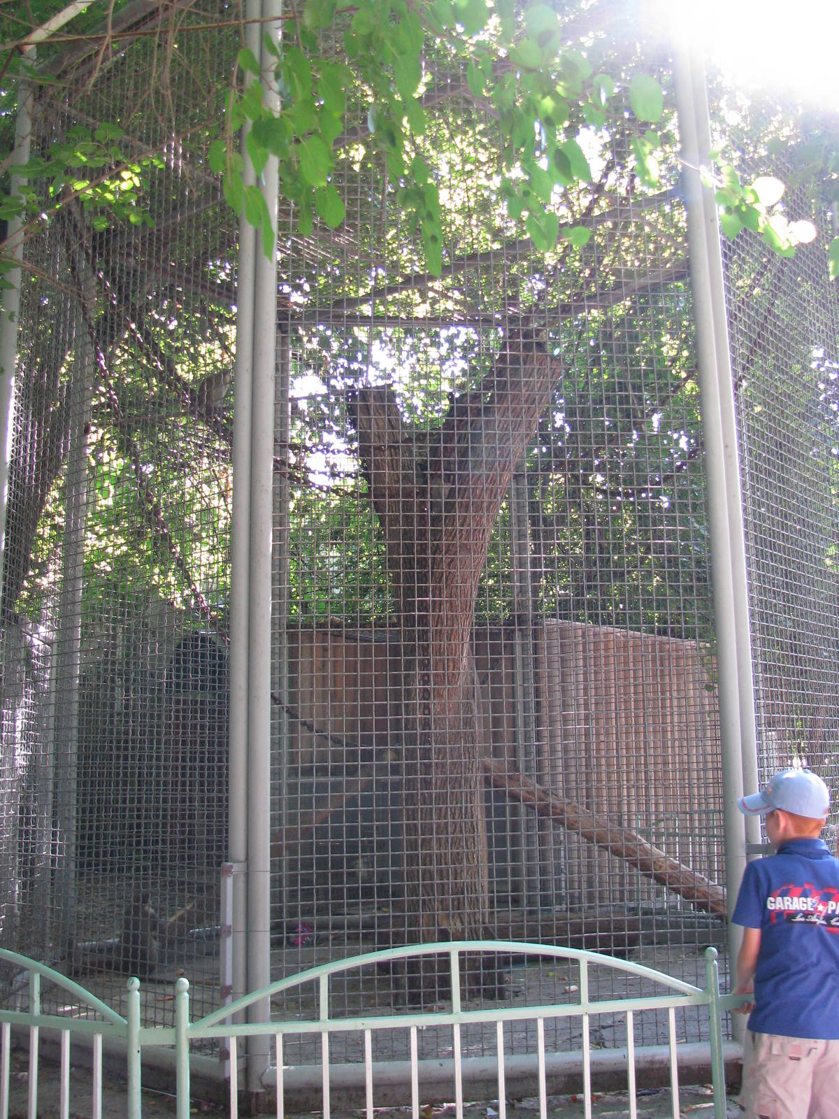 Vervet monkey exhibit