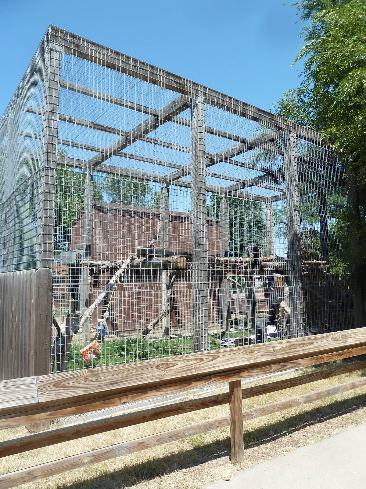 Vervet Monkey Exhibit