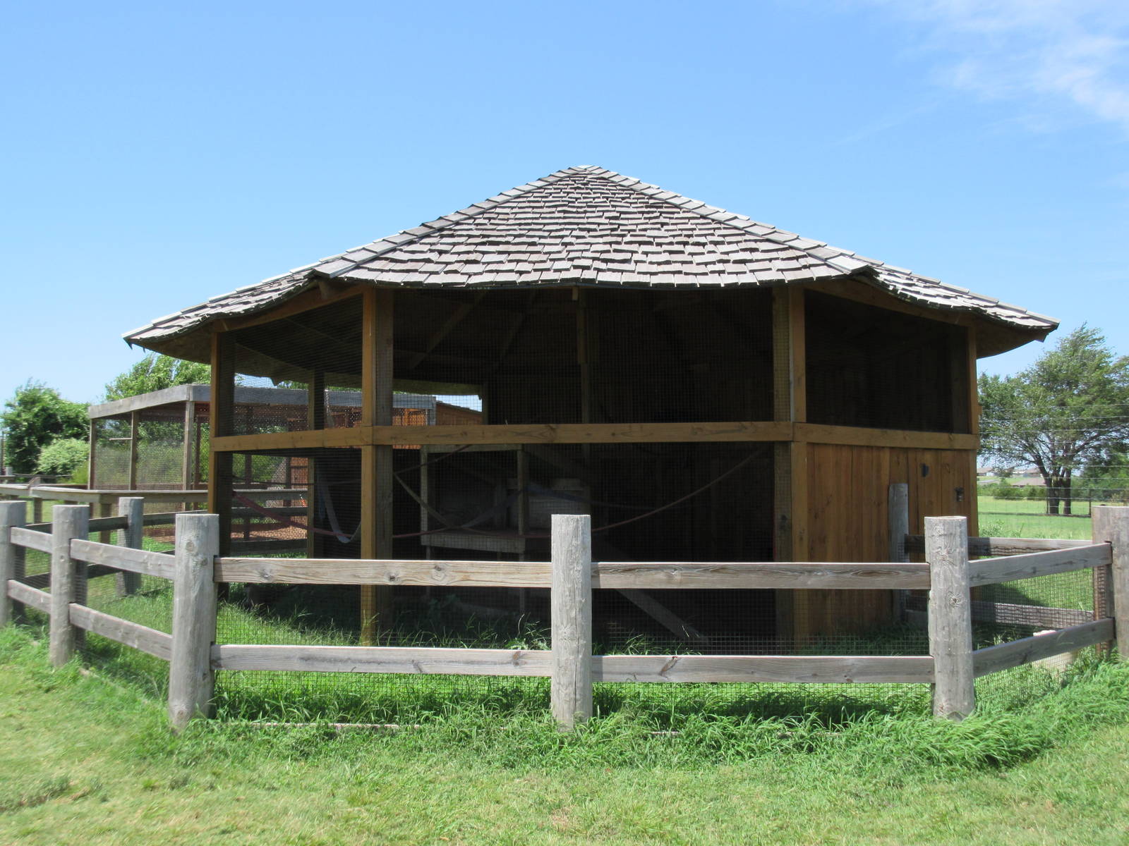 Vervet Monkey Exhibit
