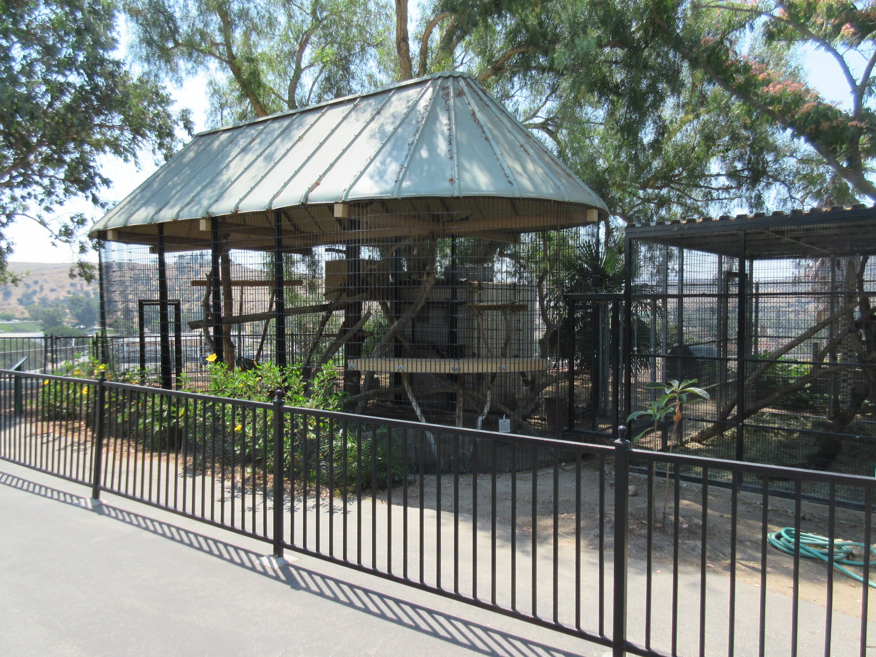 Vervet Monkey Exhibit