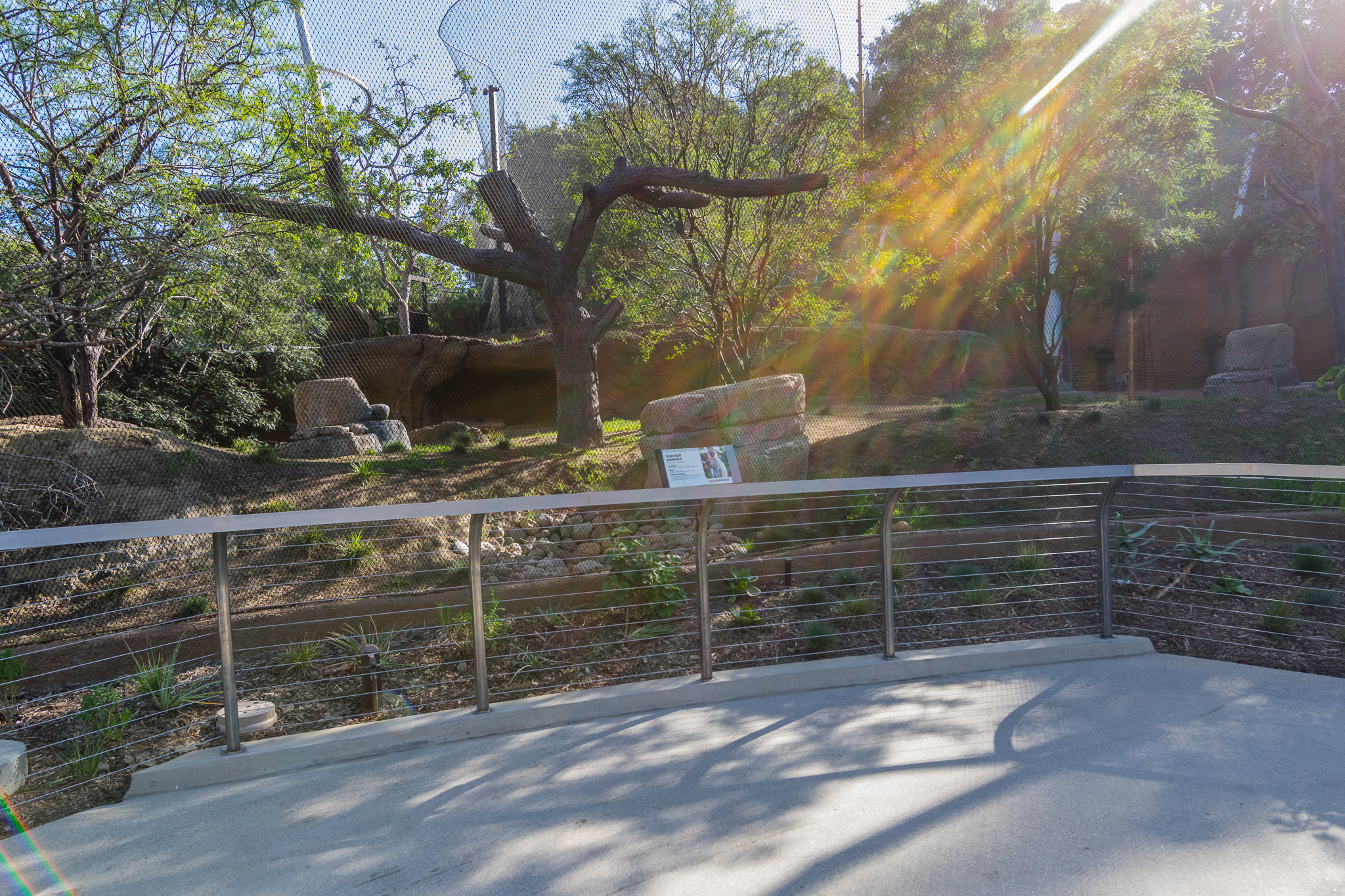 Vervet monkey exhibit.