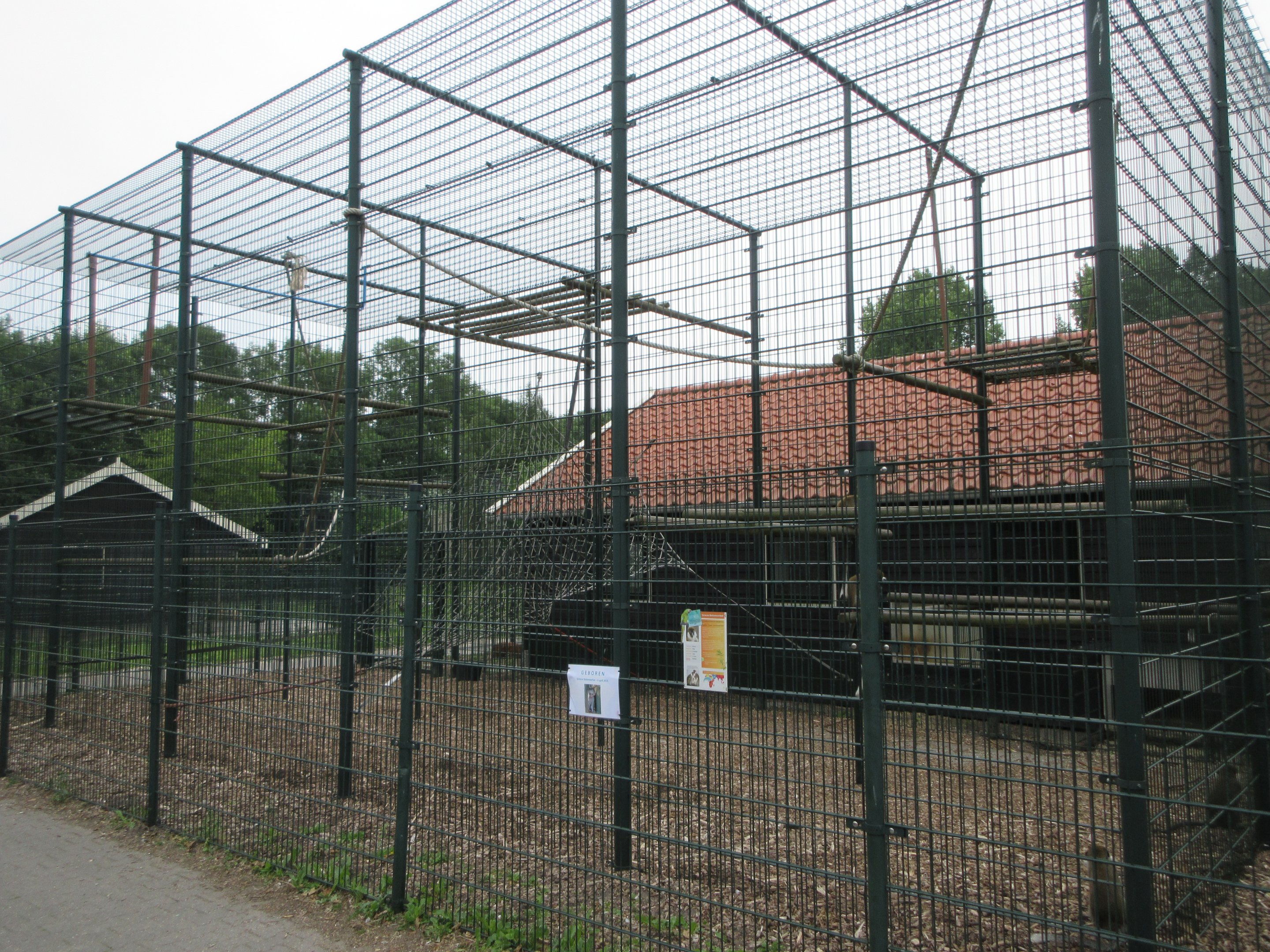 Vervet Monkey Exhibit