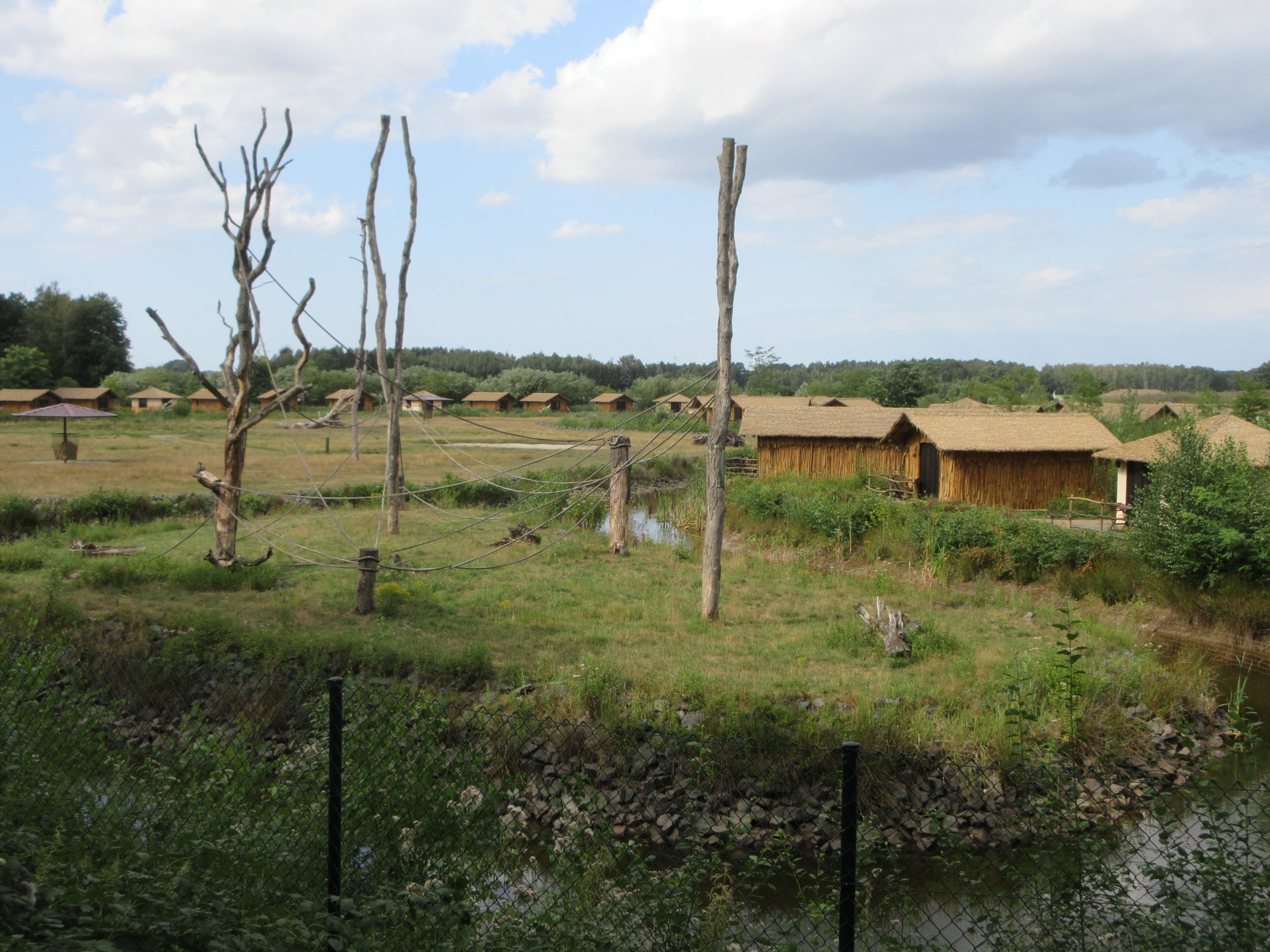 Vervet Monkey Exhibit