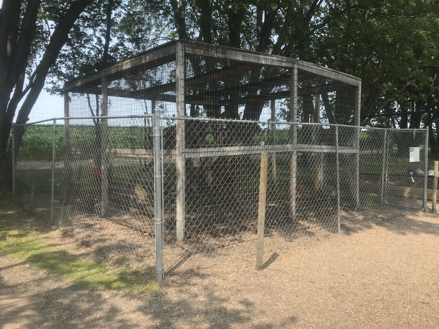 Vervet Monkey Exhibit