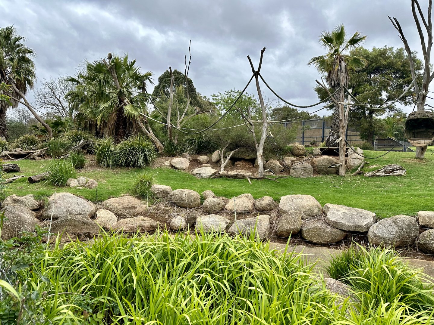 Vervet Monkey Exhibit
