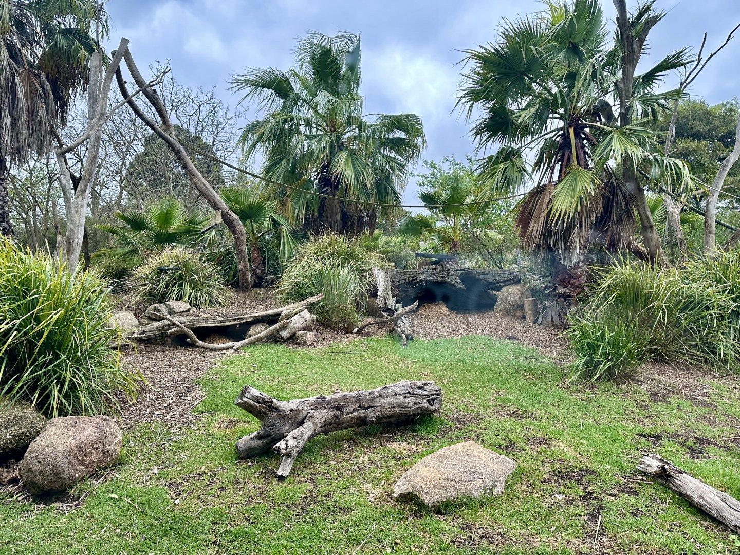 Vervet Monkey Exhibit