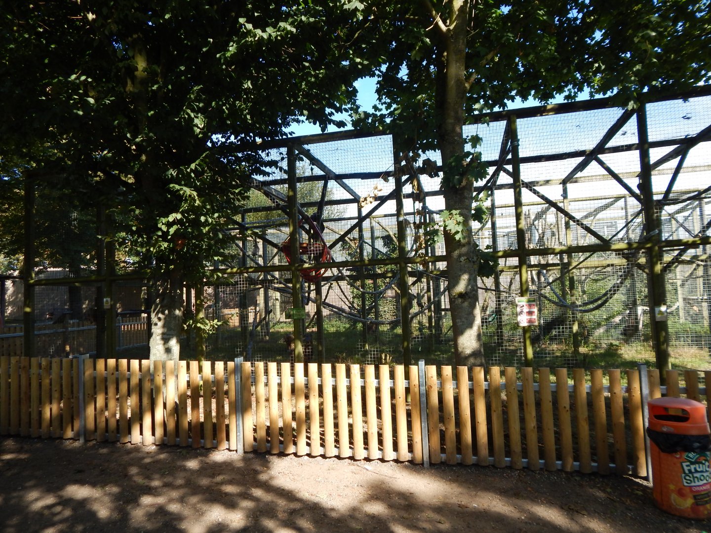 Vervet monkey habitat 030924