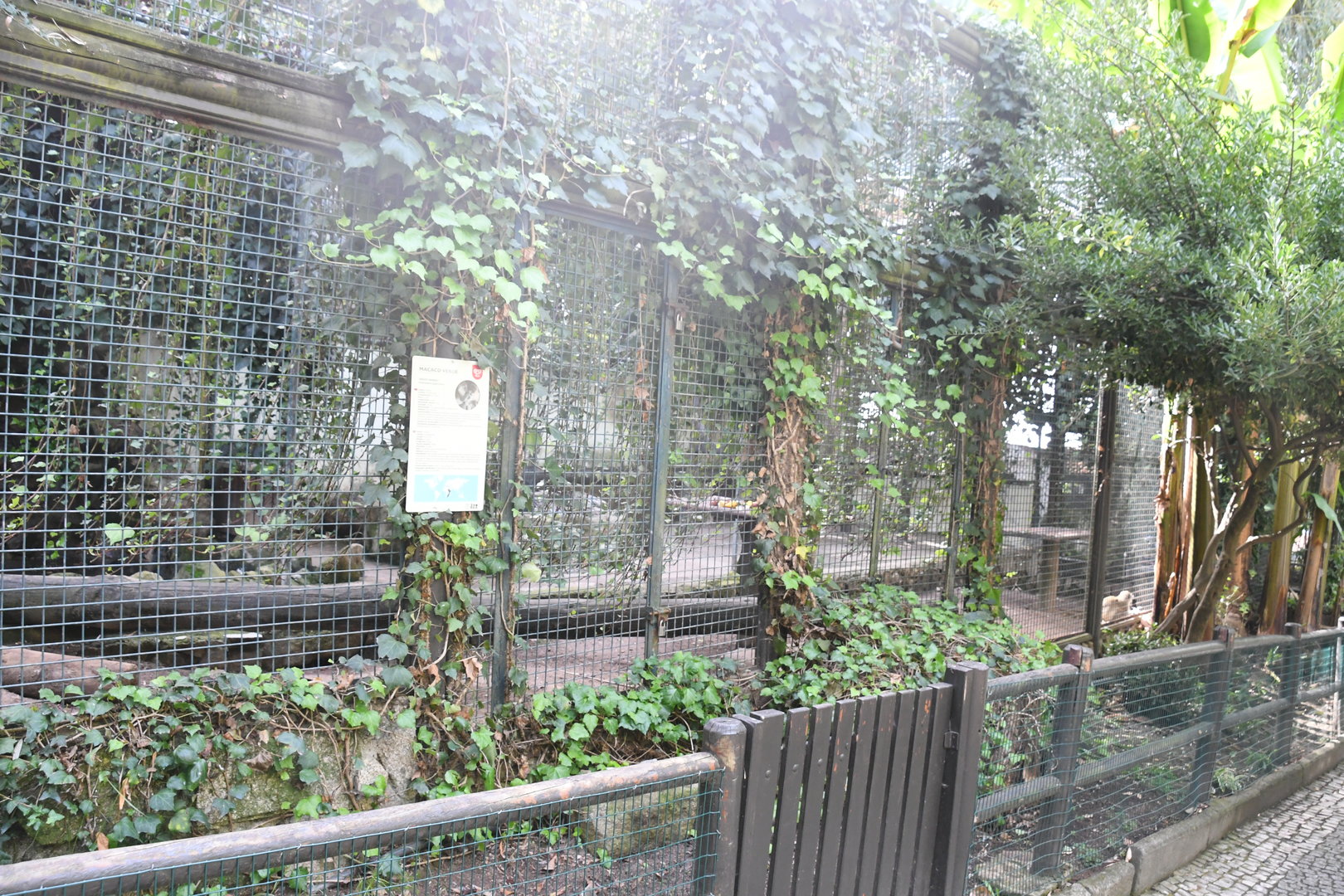 Vervet Monkeys/African Crested Porcupines cage