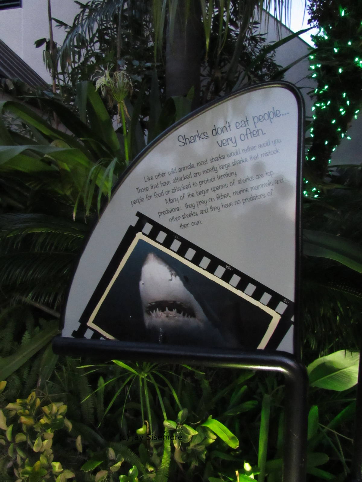 Very Encouraging Sign