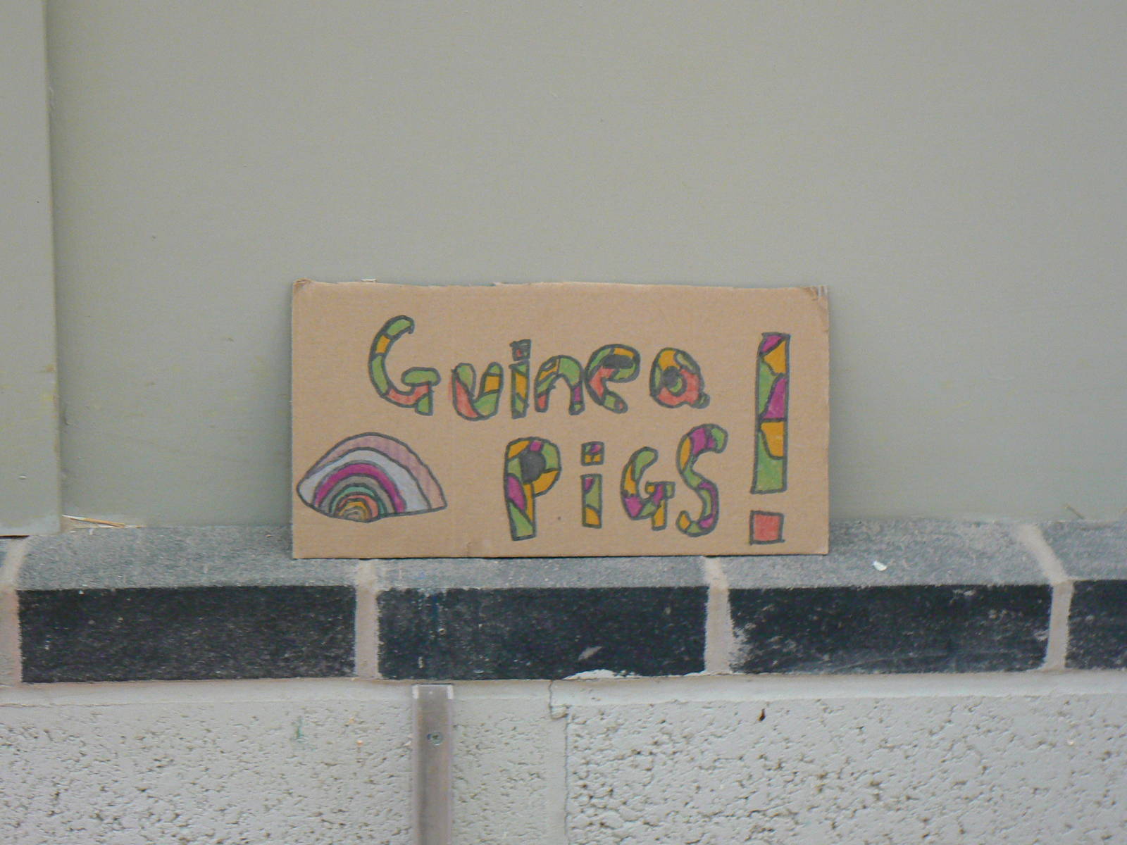 Very Expensive Sign- 17 October 2015