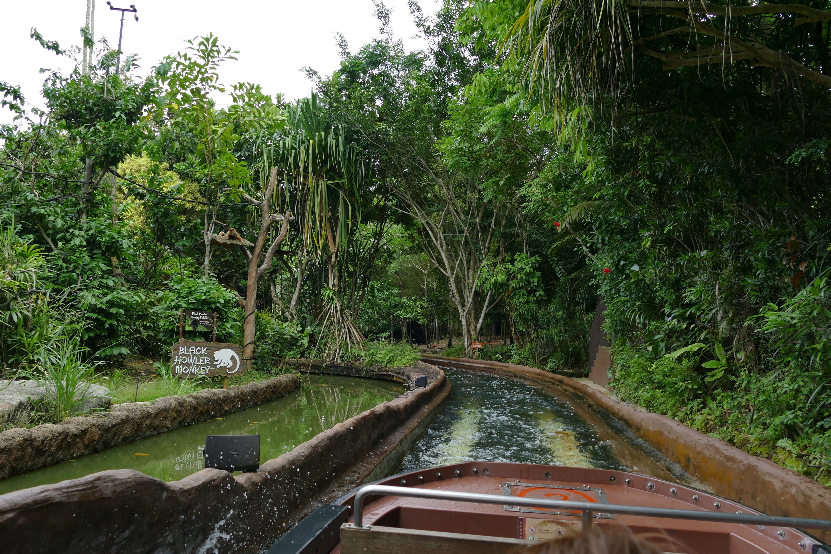 Very fast zooing going on here!