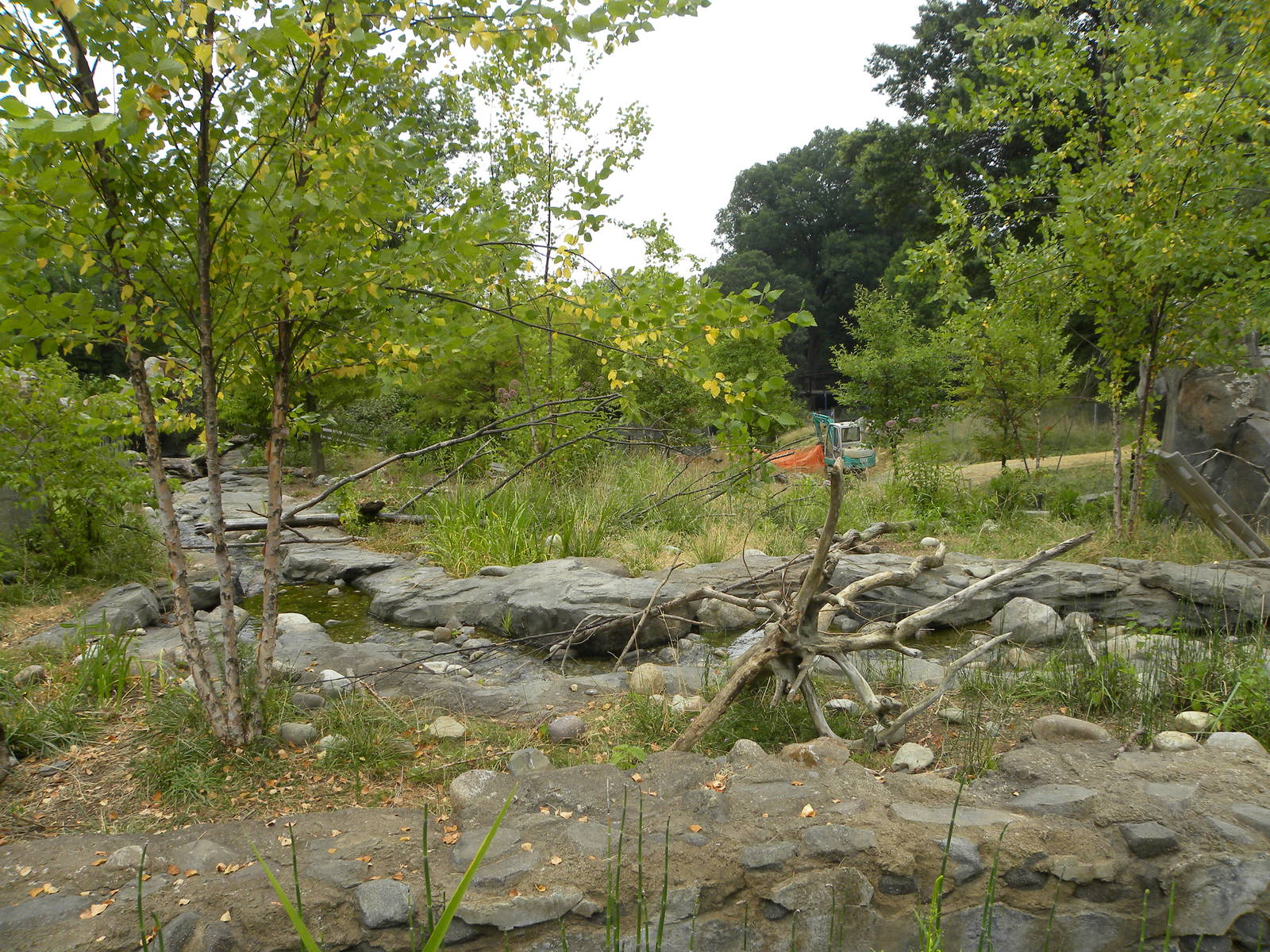 very good asian small clawed otter exhibit